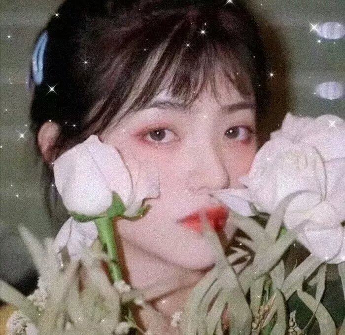 紫罗兰永恒花园 剧场版