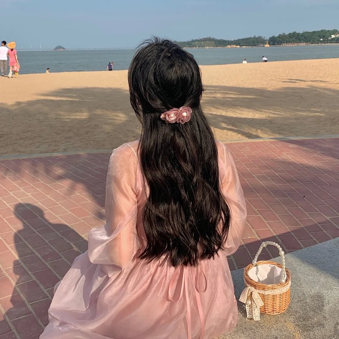 谍报飞龙